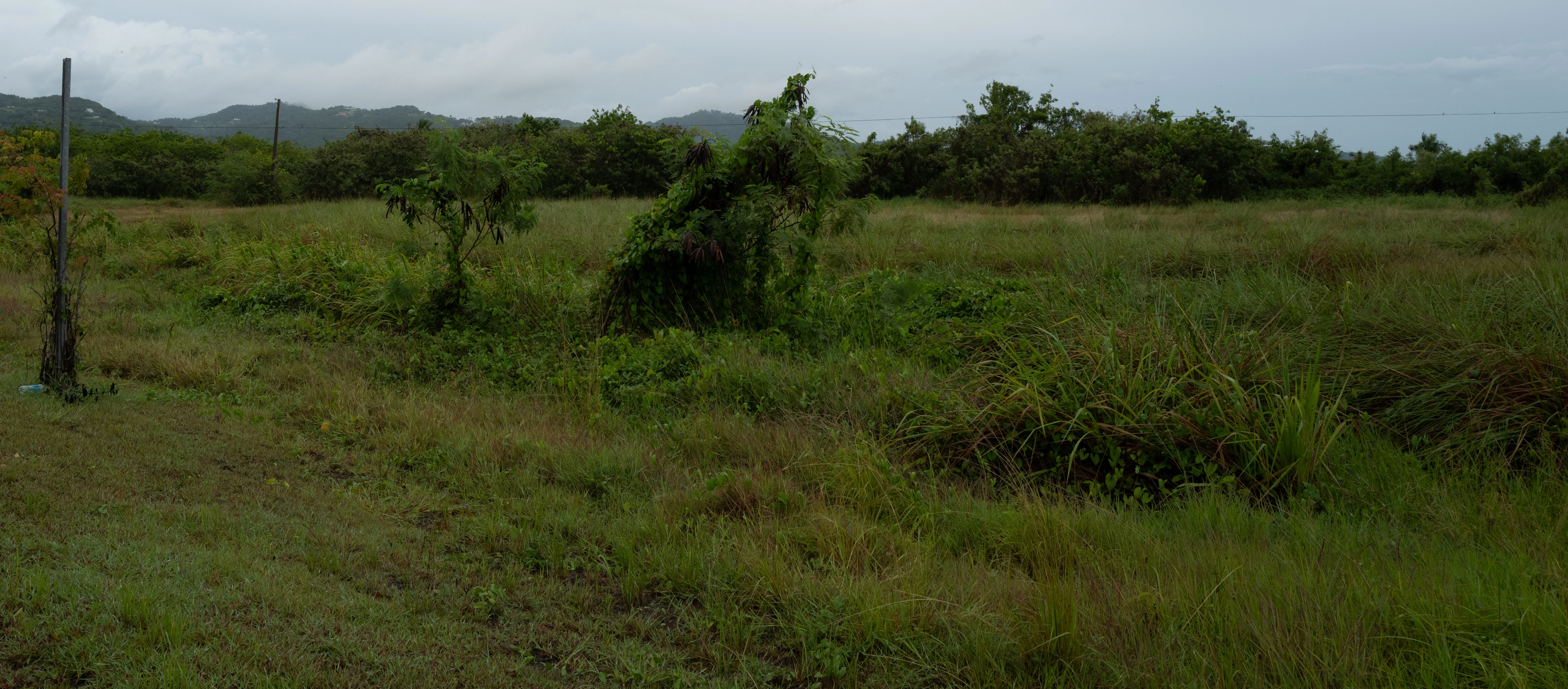 Ponce, Puerto Rico, 2025