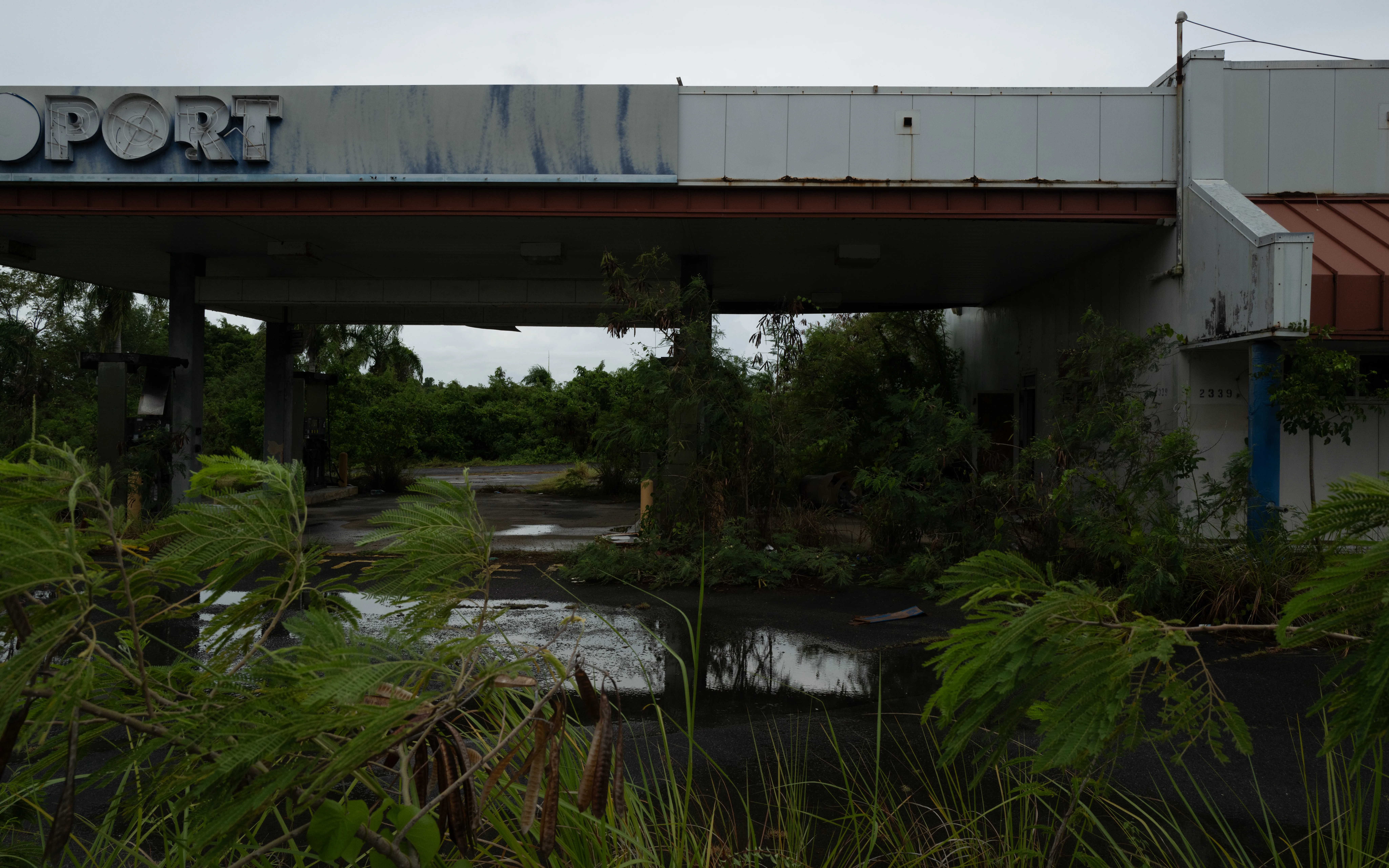 Ponce, Puerto Rico, 2025