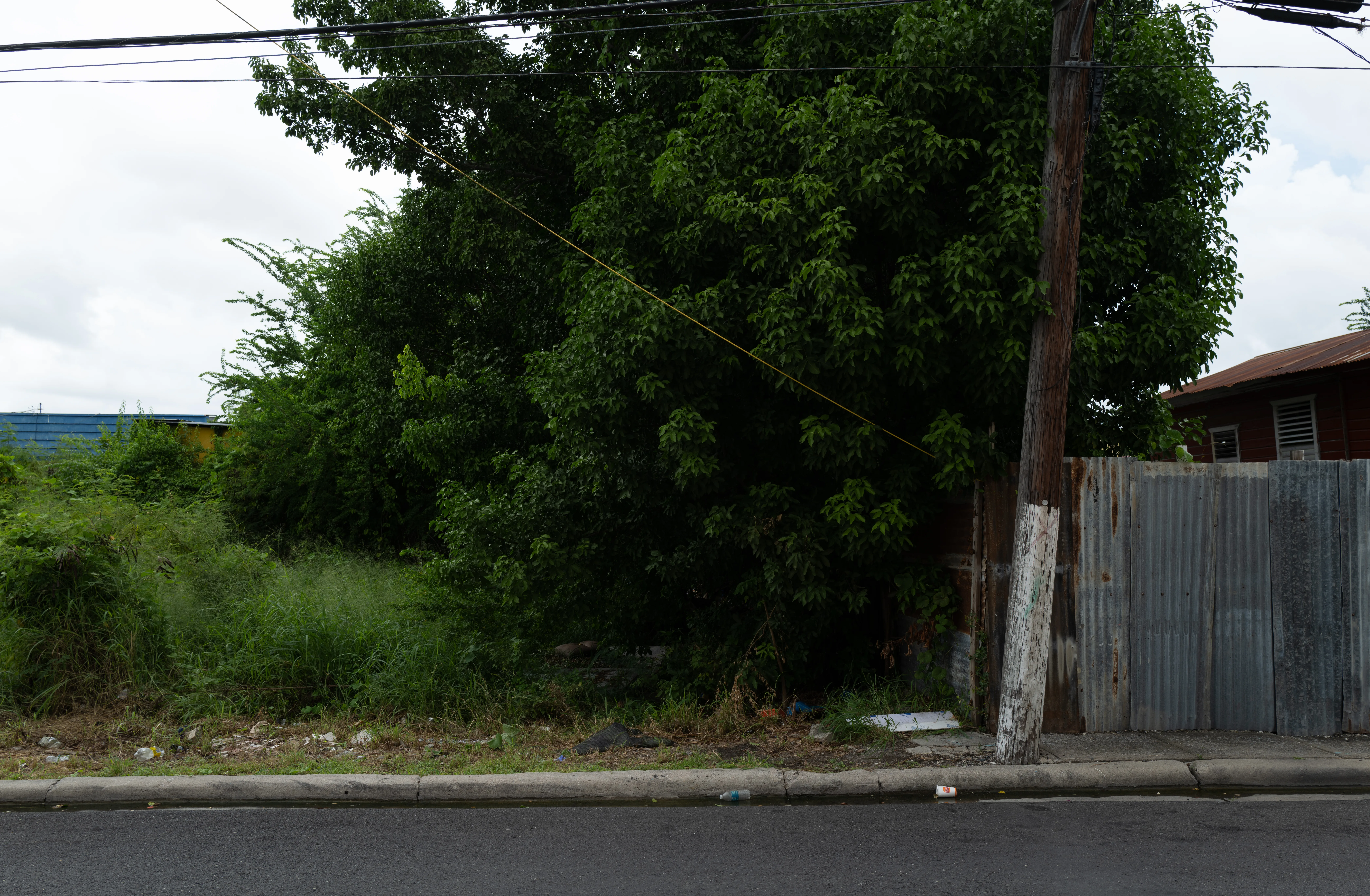 Ponce, Puerto Rico, 2025