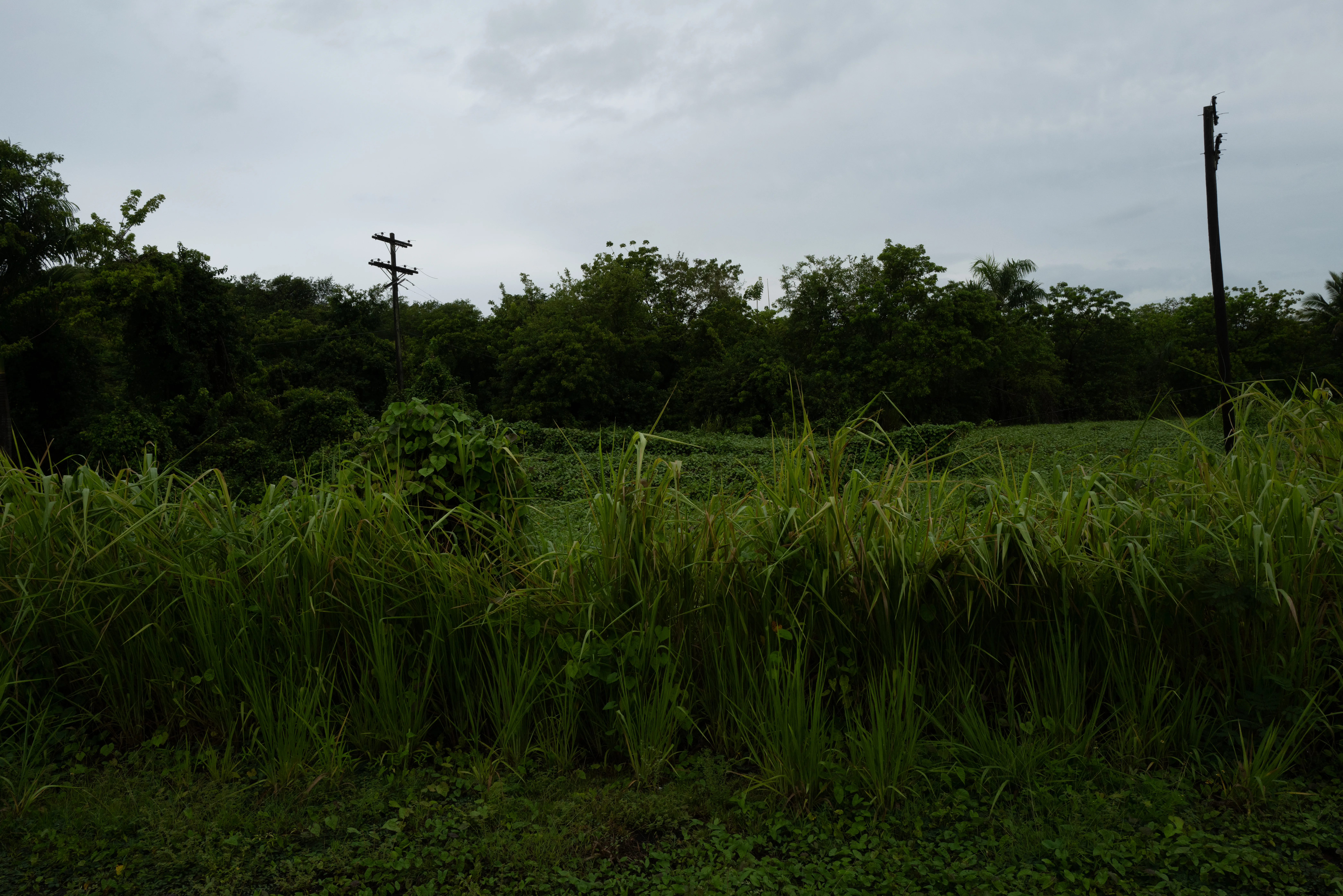 Ponce, Puerto Rico, 2025