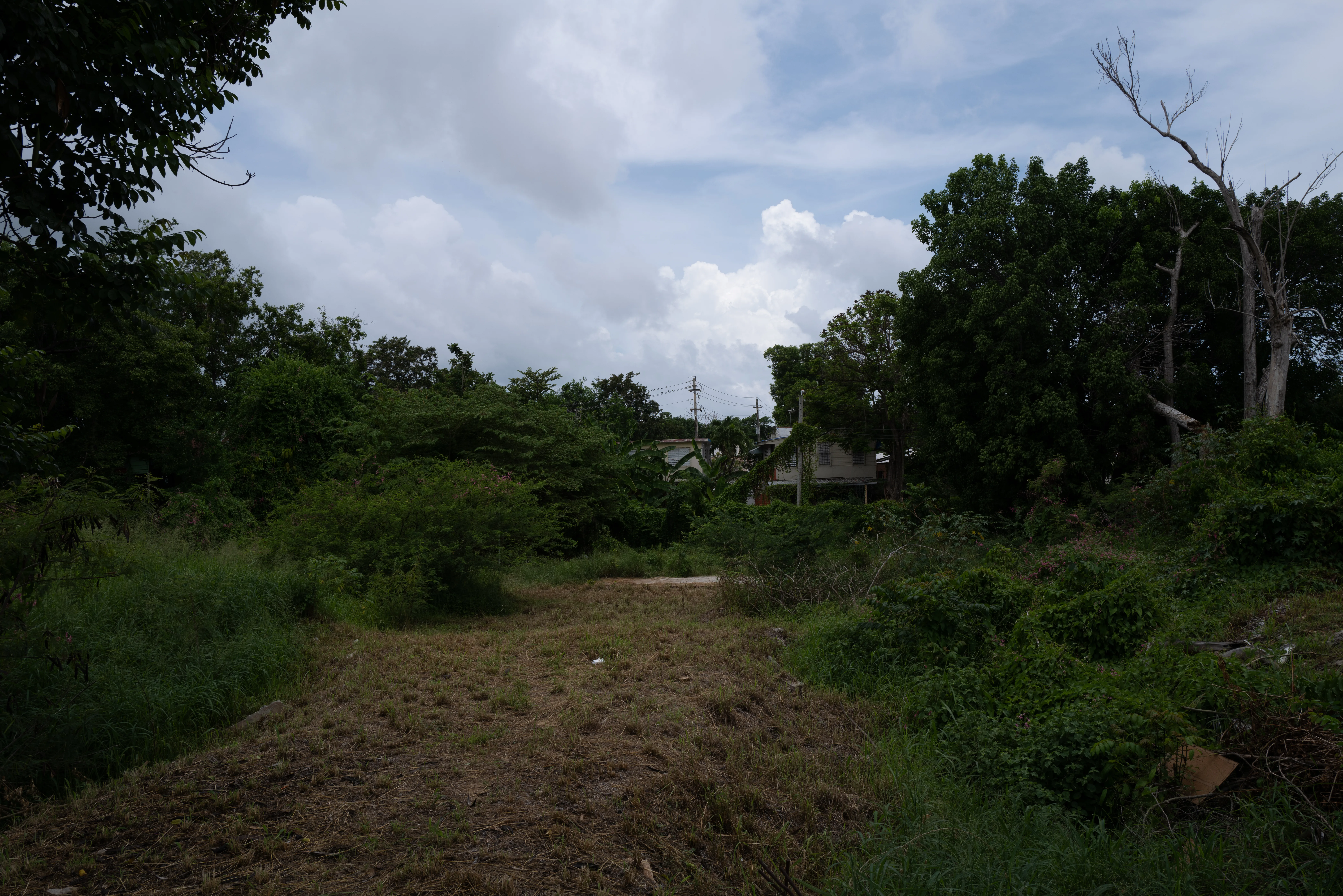 Ponce, Puerto Rico, 2025