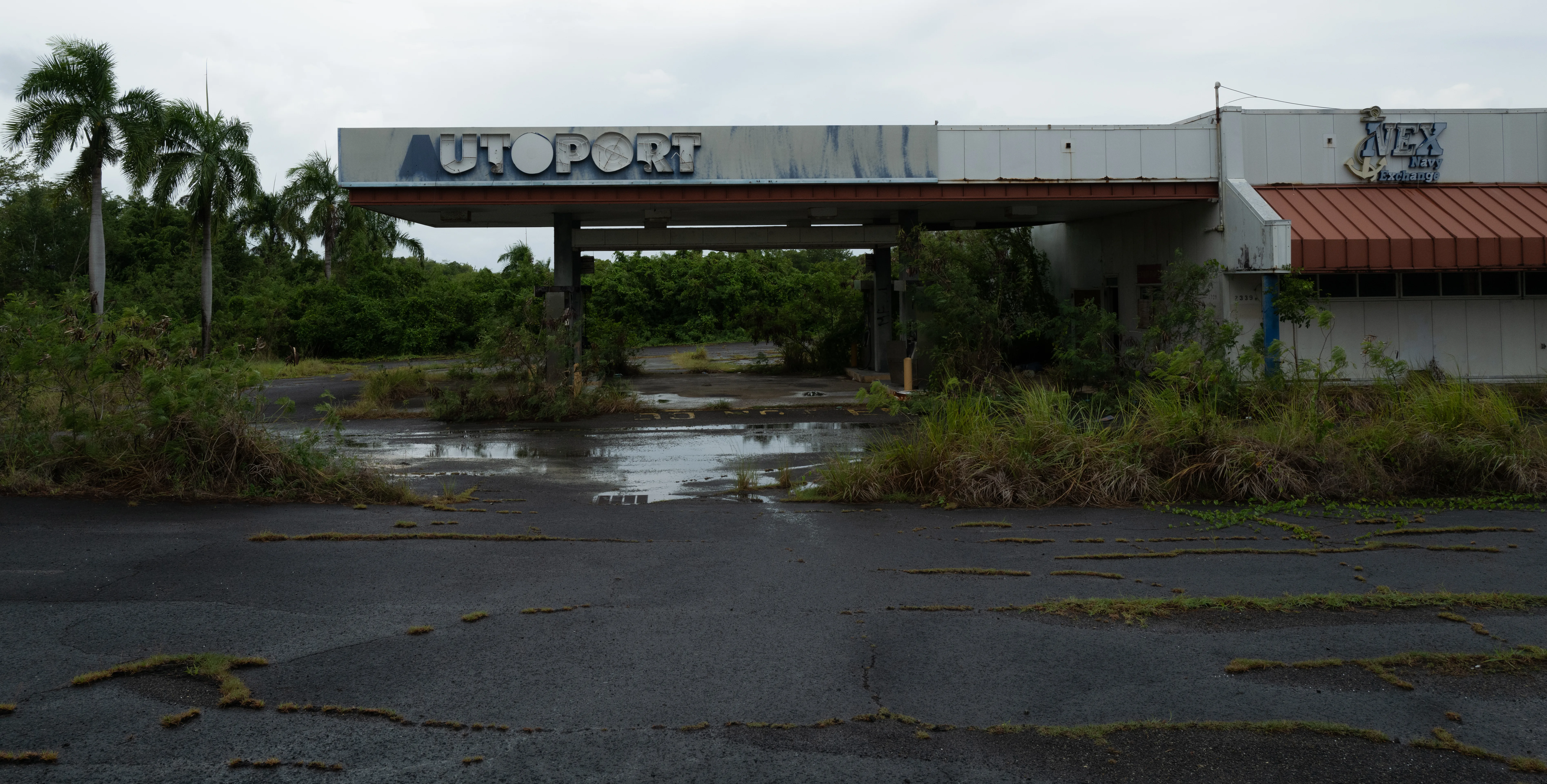 Ponce, Puerto Rico, 2025