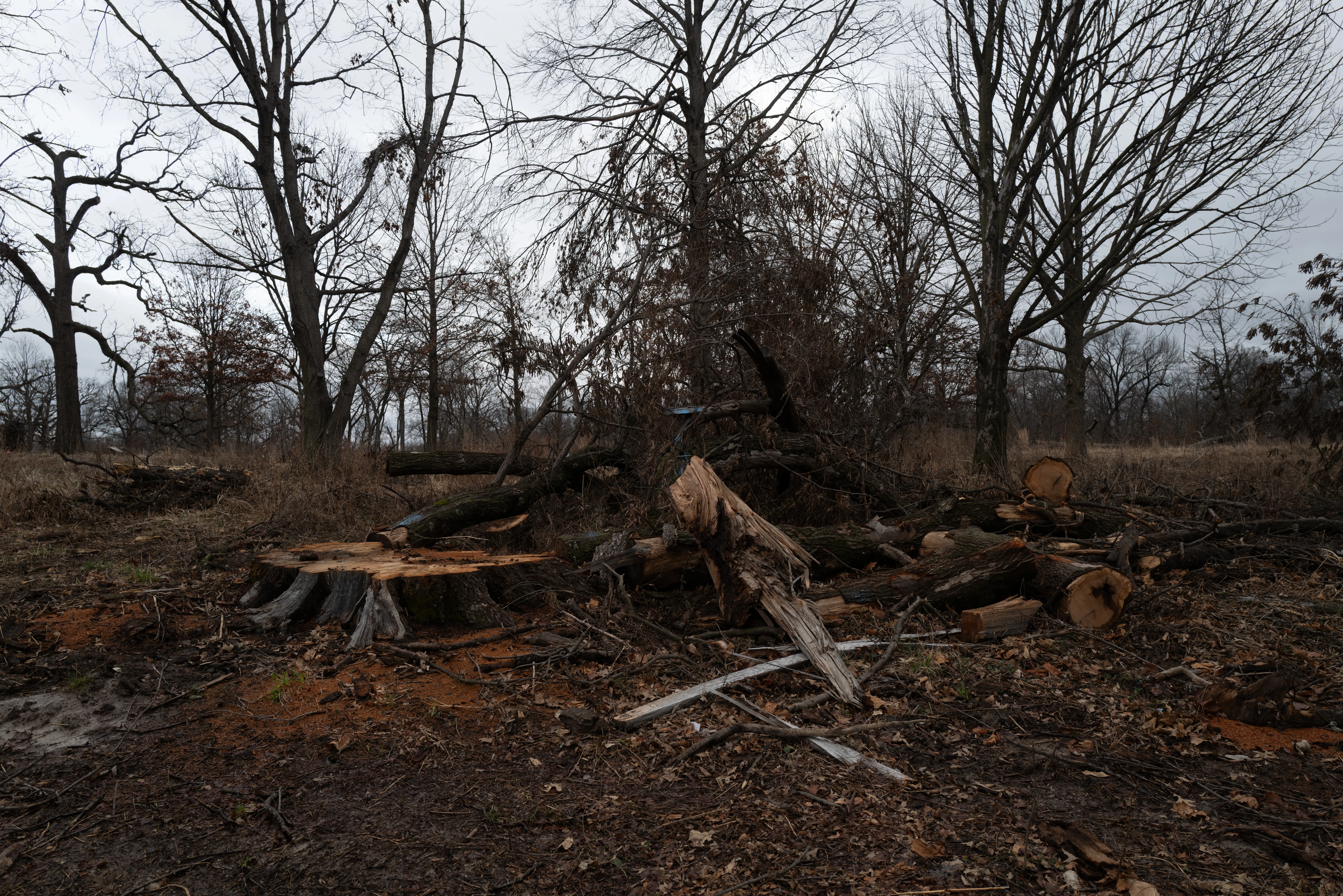 St. Louis, Missouri, 2025