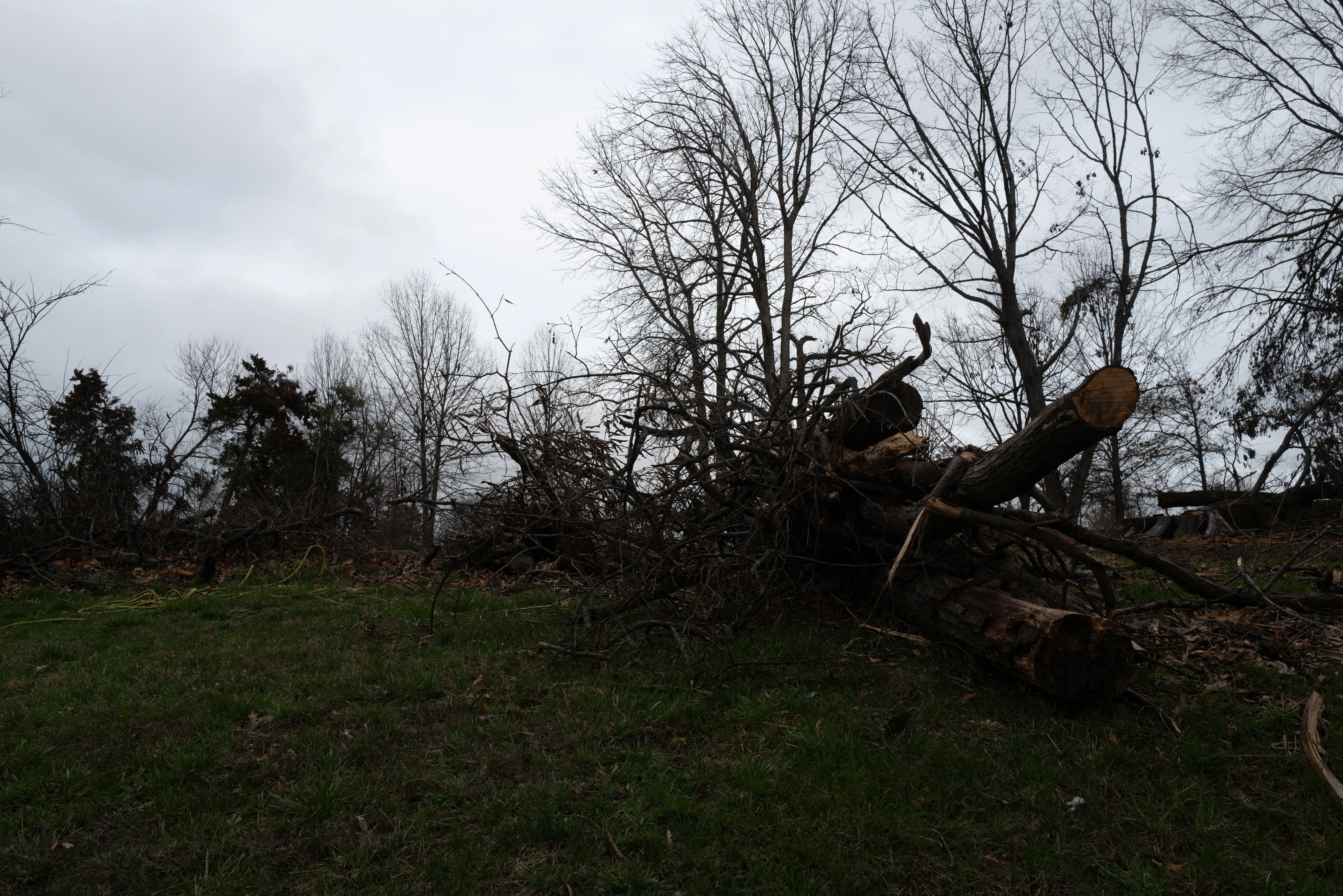 St. Louis, Missouri, 2025