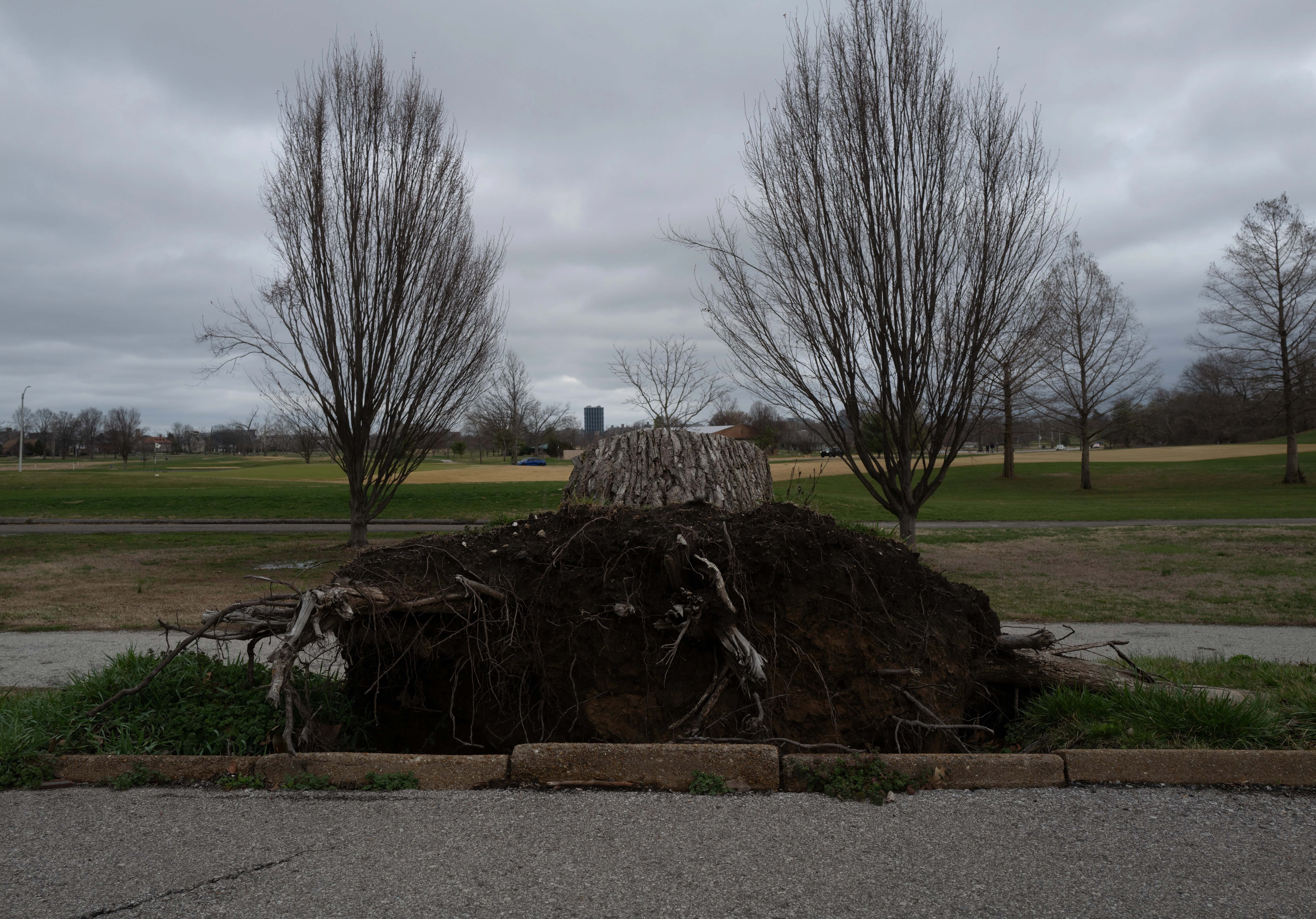 St. Louis, Missouri, 2025