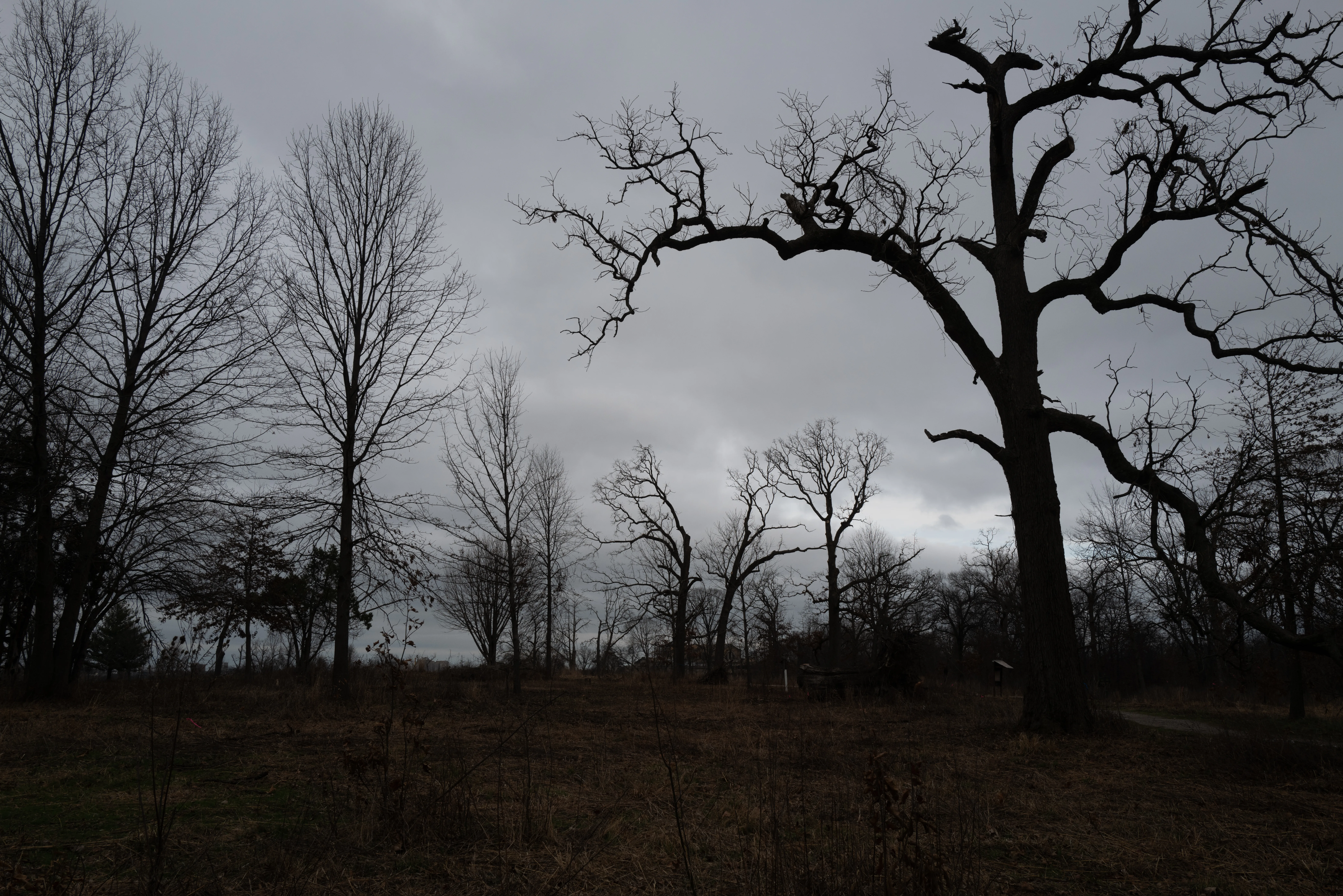 St. Louis, Missouri, 2025