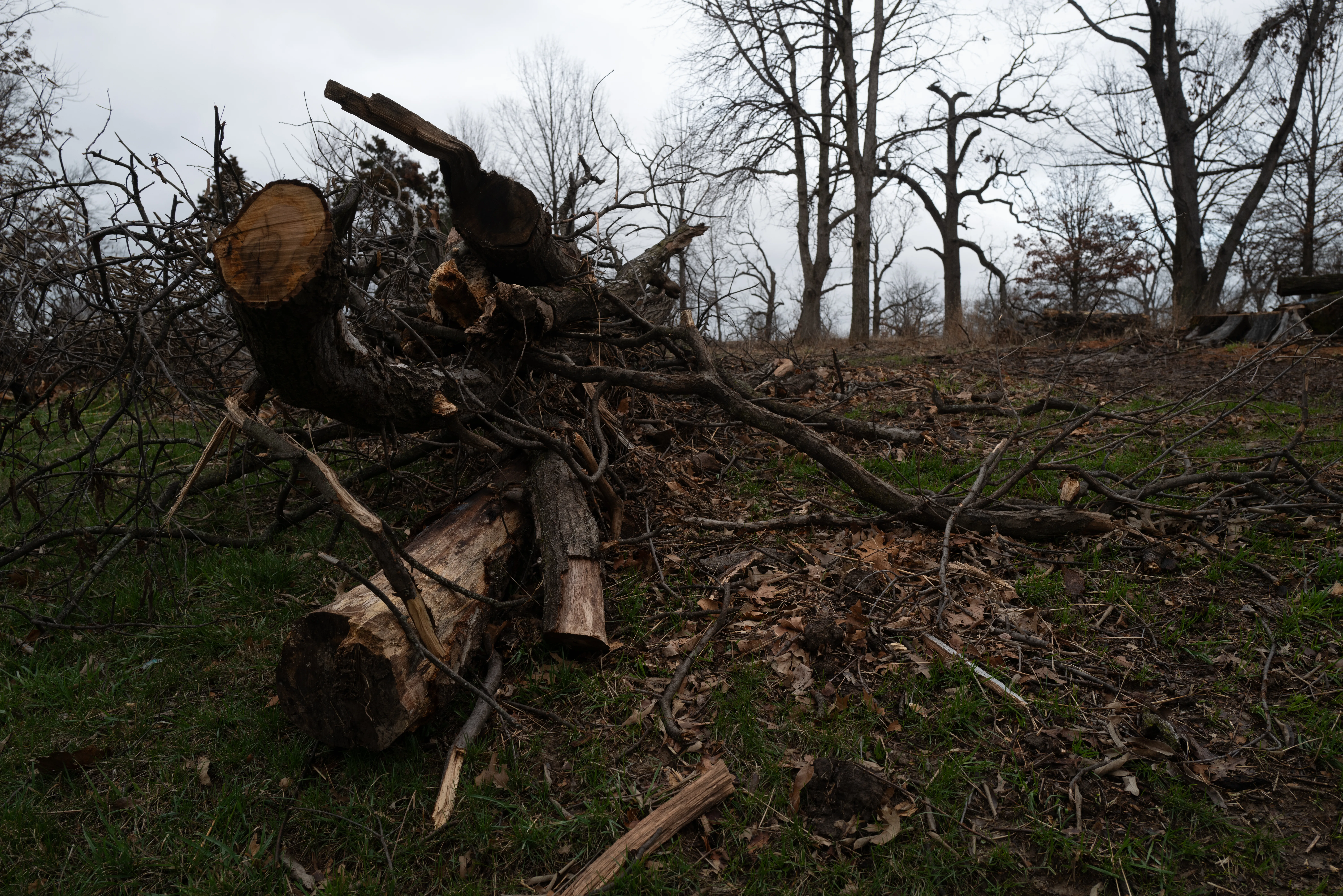 St. Louis, Missouri, 2025