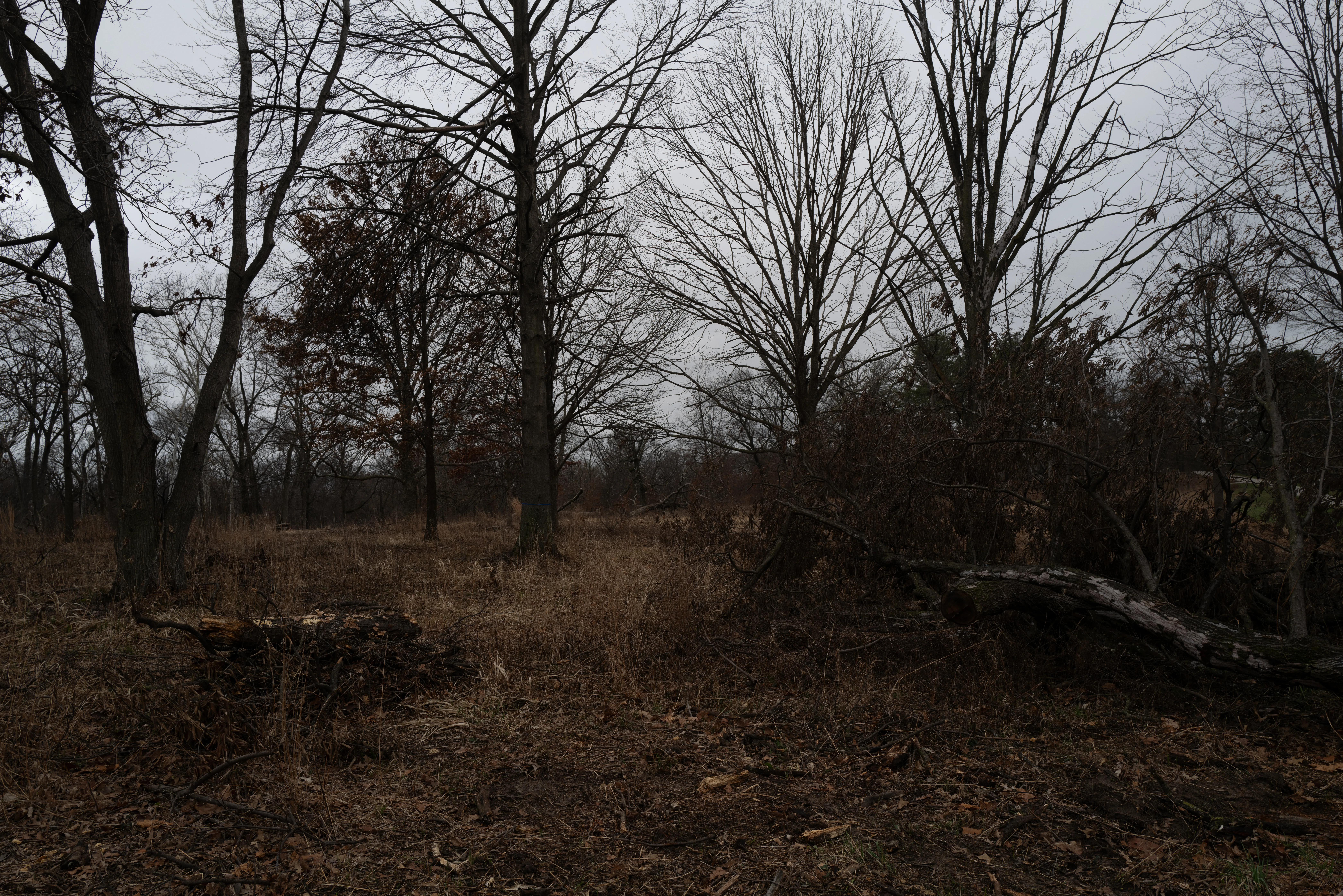 St. Louis, Missouri, 2025